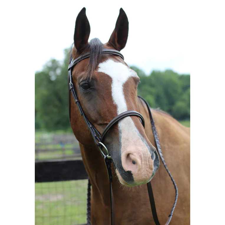 Henri de Rivel Pro Fancy Raised Bridle With Laced Reins - Image 2