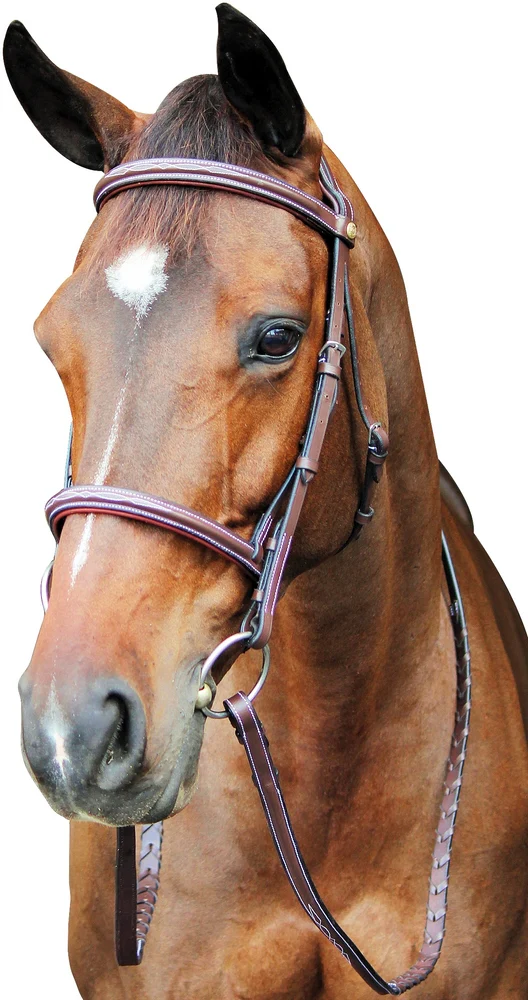 Henri de Rivel Pro Fancy Raised Comfort Crown Padded Bridle With Fancy Raised Reins - Image 6