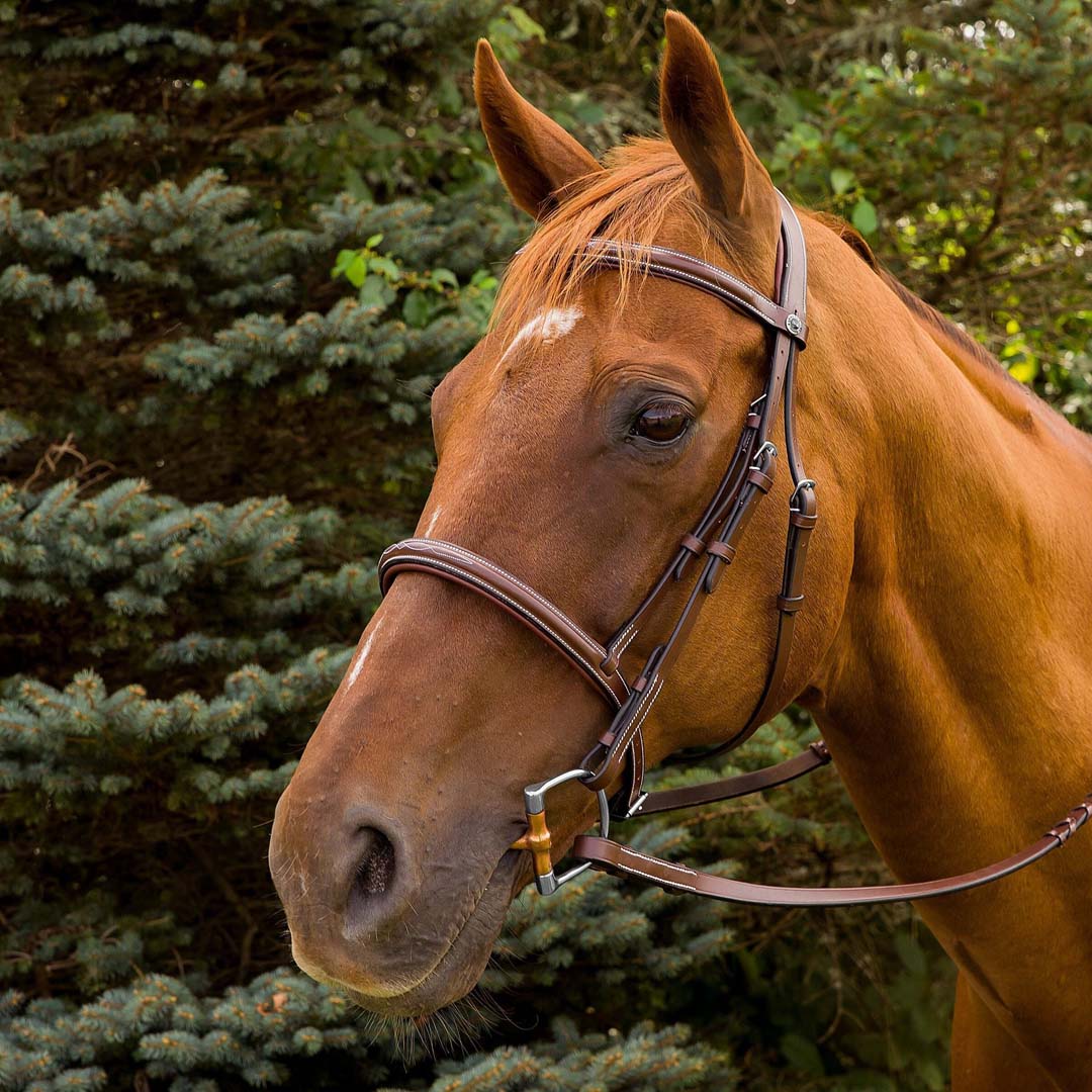 Henri de Rivel Pro Mono Crown Fancy Stitched Padded Bridle - Image 3