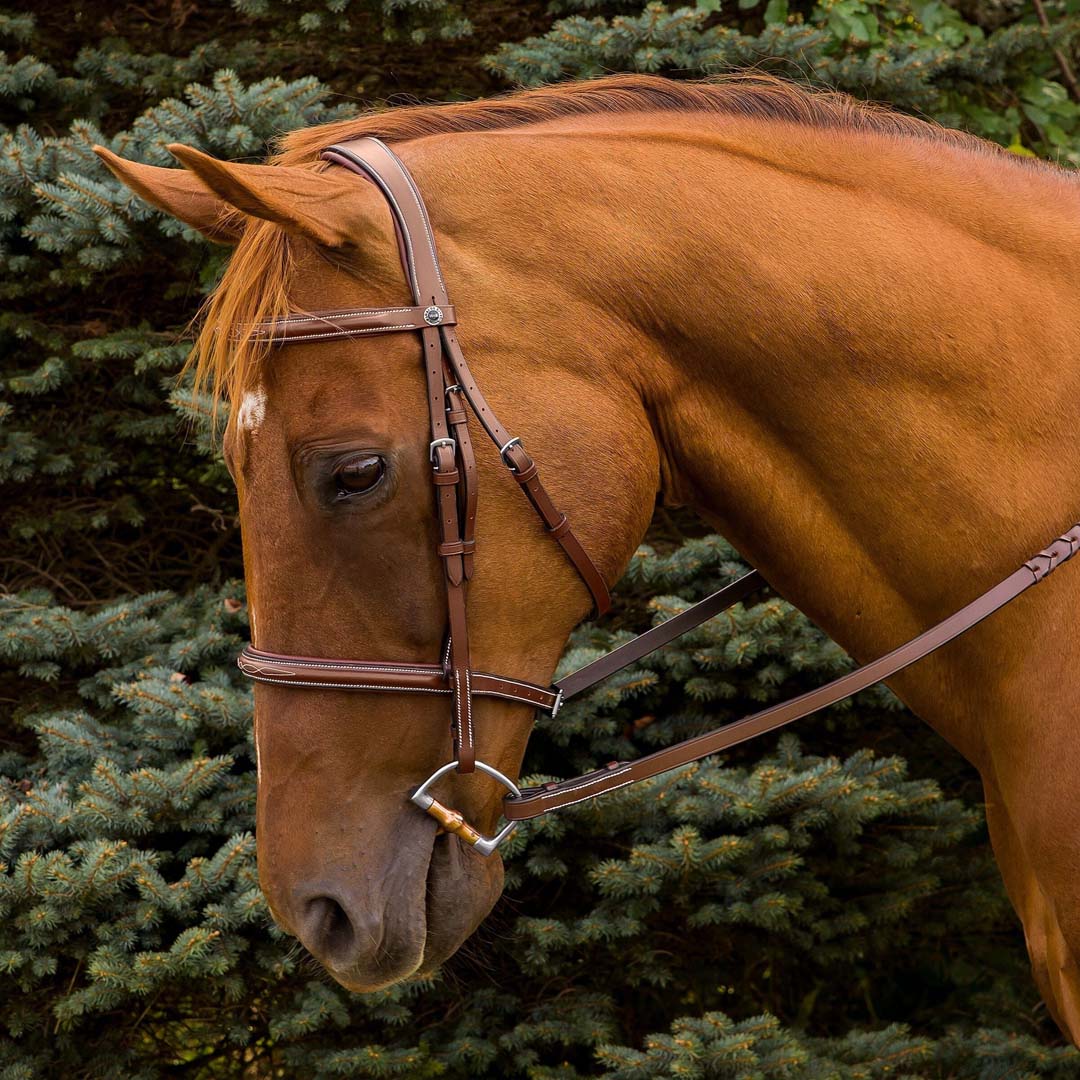 Henri de Rivel Pro Mono Crown Fancy Stitched Padded Bridle - Image 4