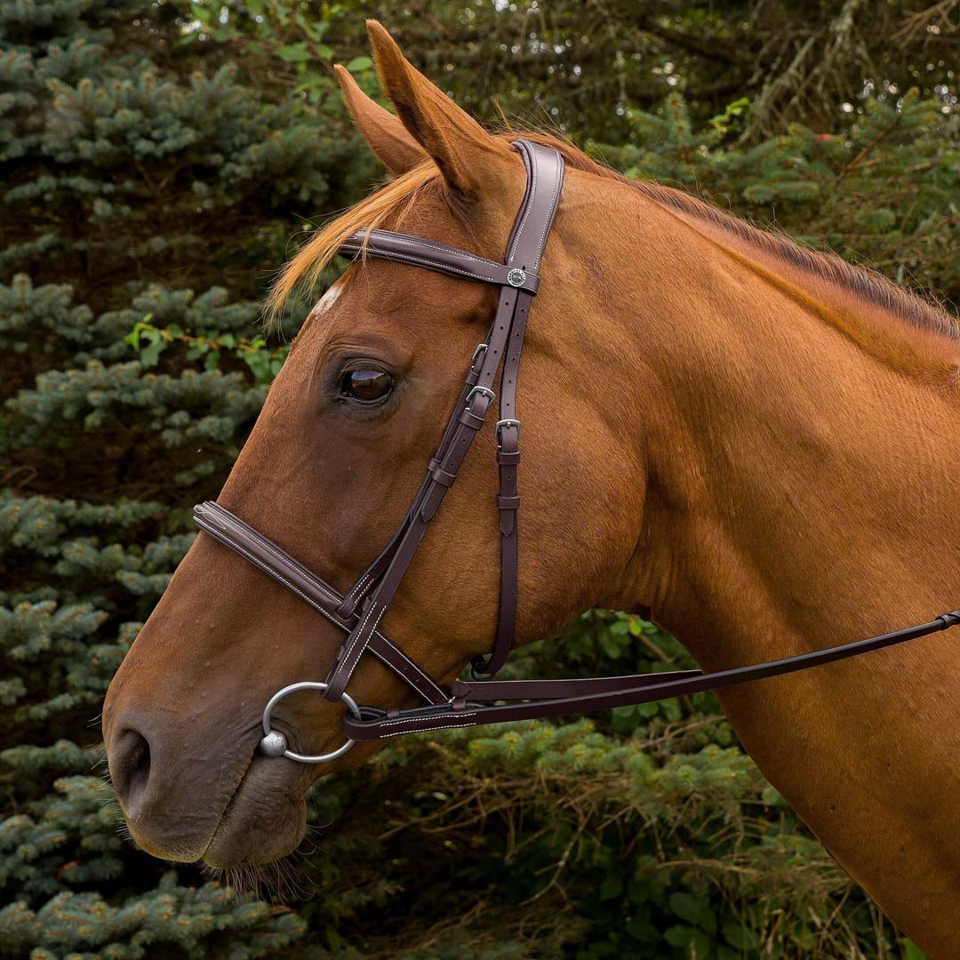 Henri de Rivel Pro Mono Crown Fancy Stitched Padded Bridle - Image 5