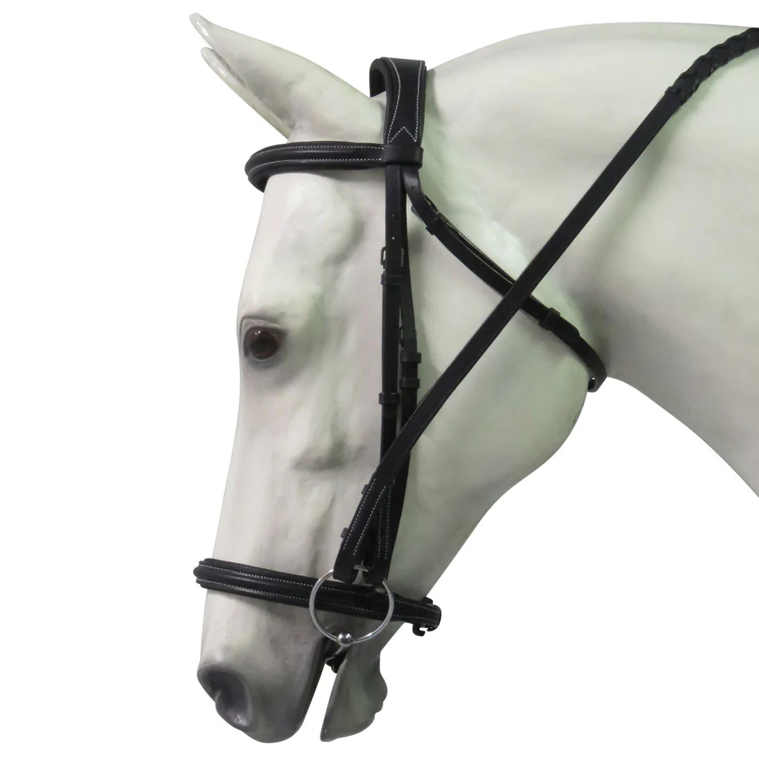 Henri de Rivel Pro Mono Crown Padded Bridle - Image 2