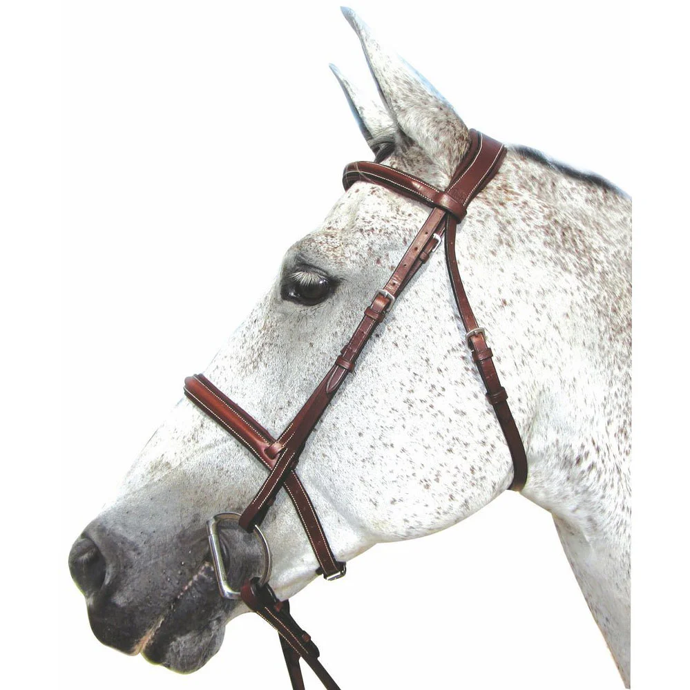 Henri de Rivel Pro Mono Crown Padded Bridle - Image 3