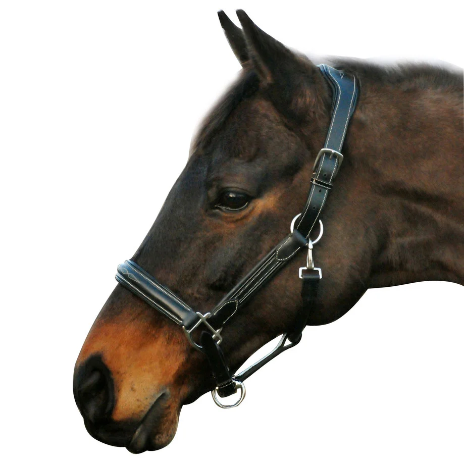Henri de Rivel Stress Free Halter With Fancy Contrast Stitching - Image 4
