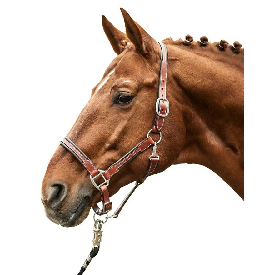 HKM Leather Halter -Soft-Brown - Image 2