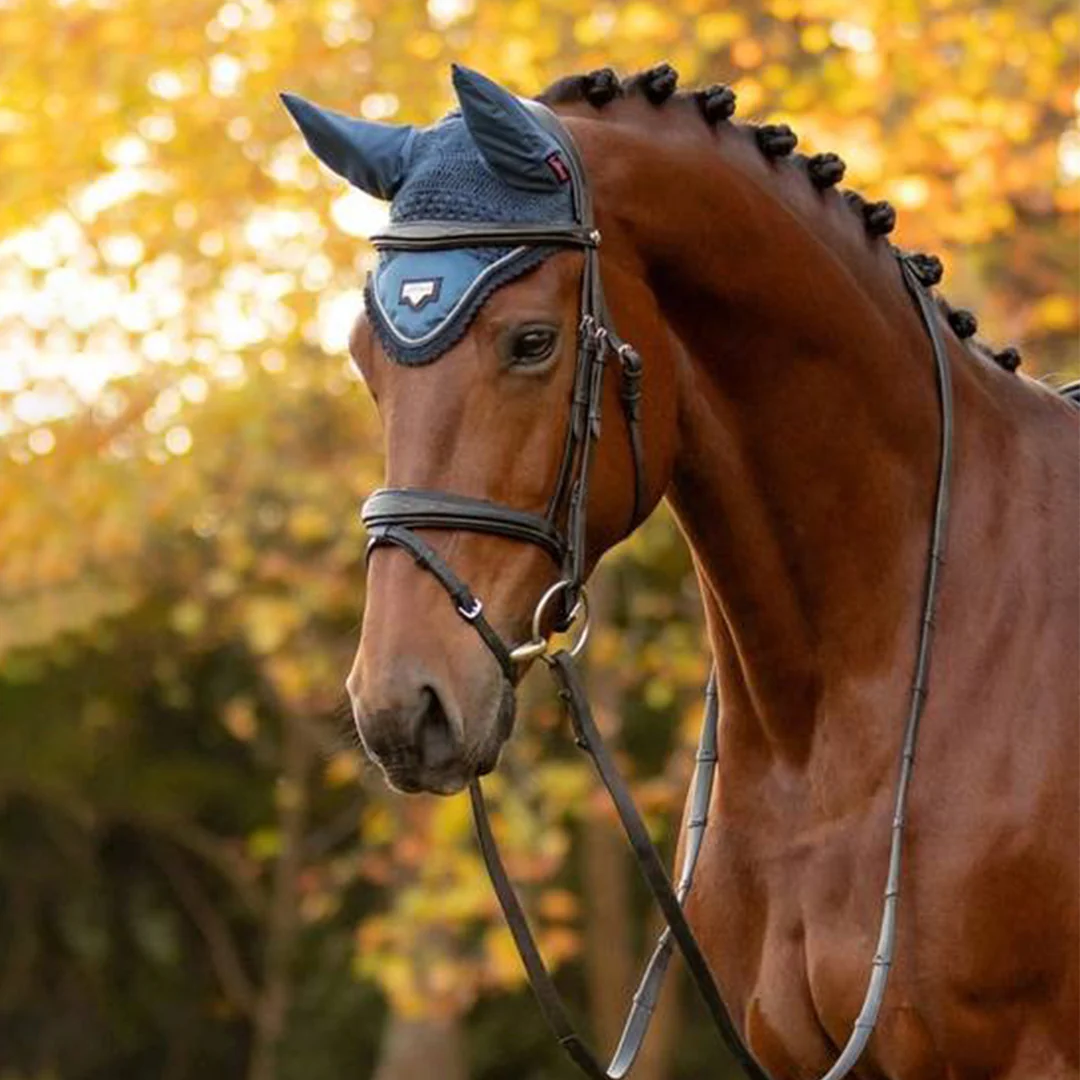 Lemieux Loire Fly Hood - Image 10