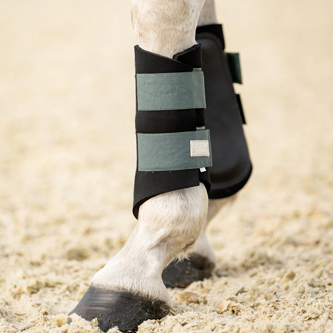 Lettia EquiFine Horse Boot - Image 3