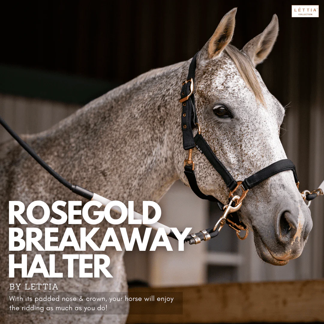 Lettia Rosegold Padded Leather Breakaway Halter - Image 3