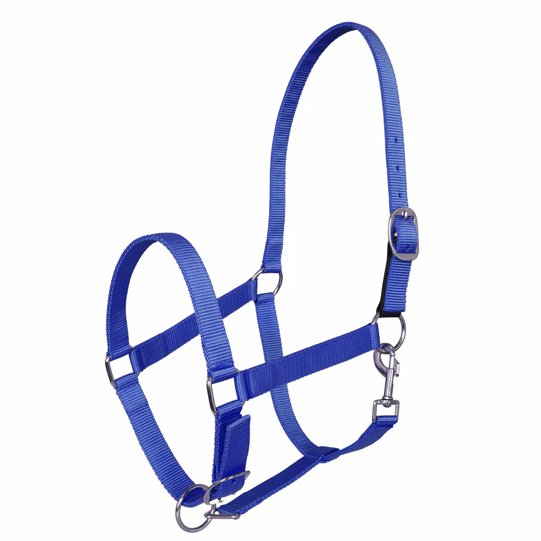 Miller's Adjustable Nylon Halter with Snap and Breakaway Leather - Image 2