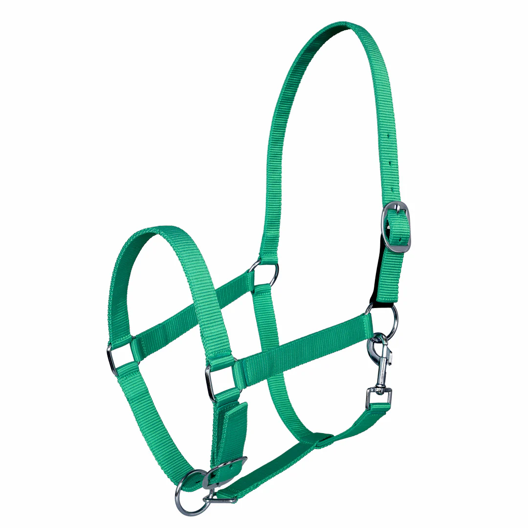 Miller's Adjustable Nylon Halter with Snap and Breakaway Leather - Image 3