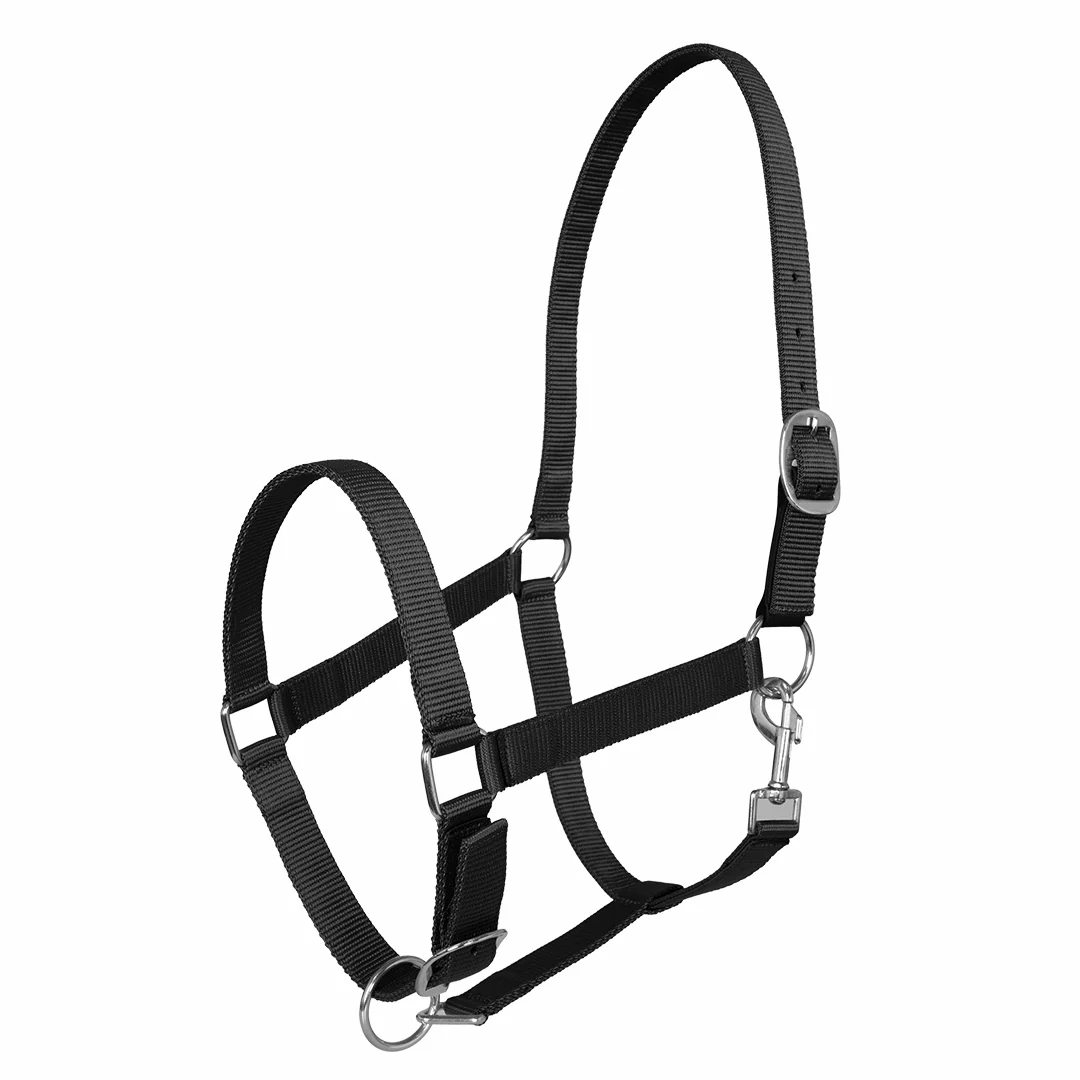 Miller's Adjustable Nylon Halter with Snap and Breakaway Leather - Image 5