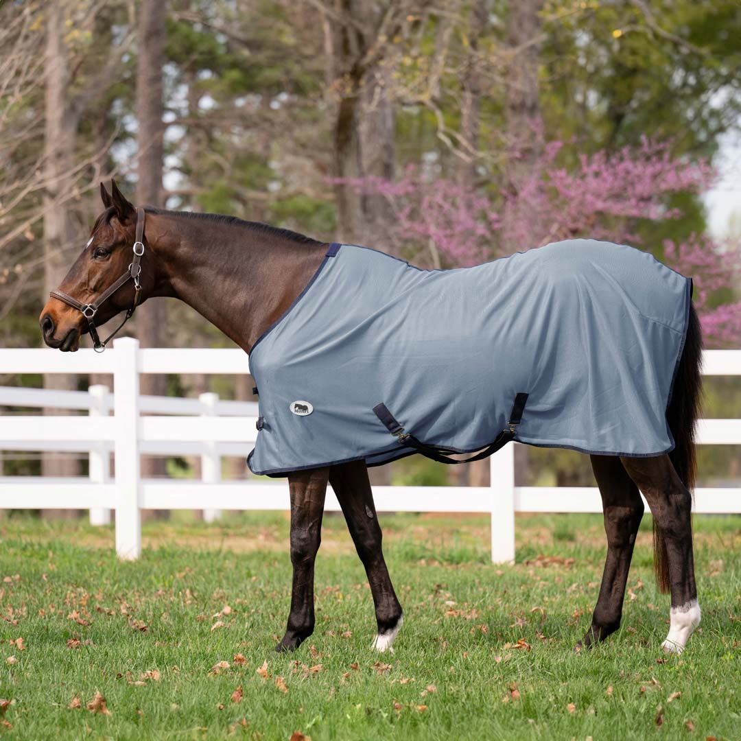 Miller's Fly sheet - Image 3