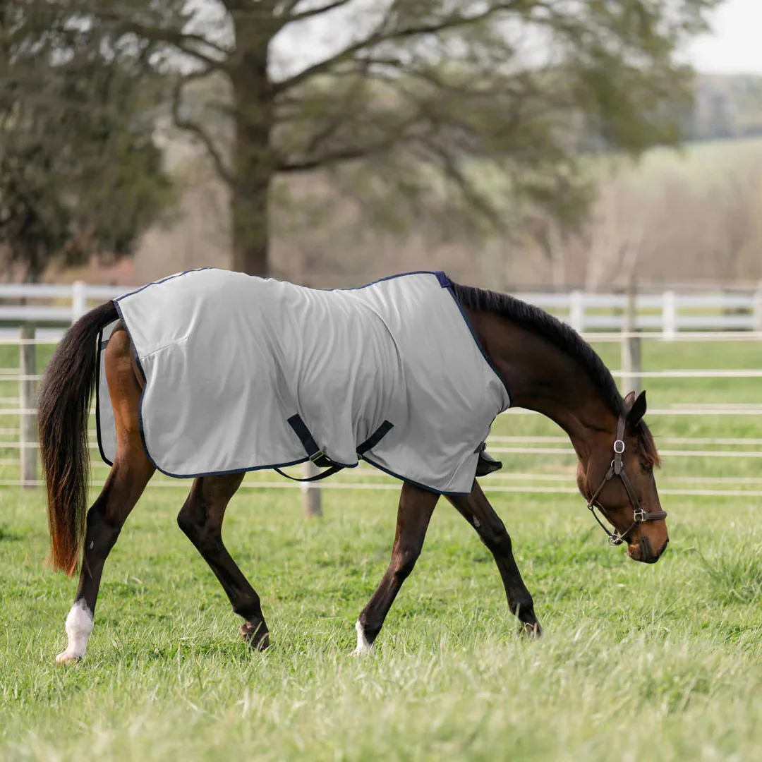Miller's Fly sheet - Gray with Royal Trim - Image 2
