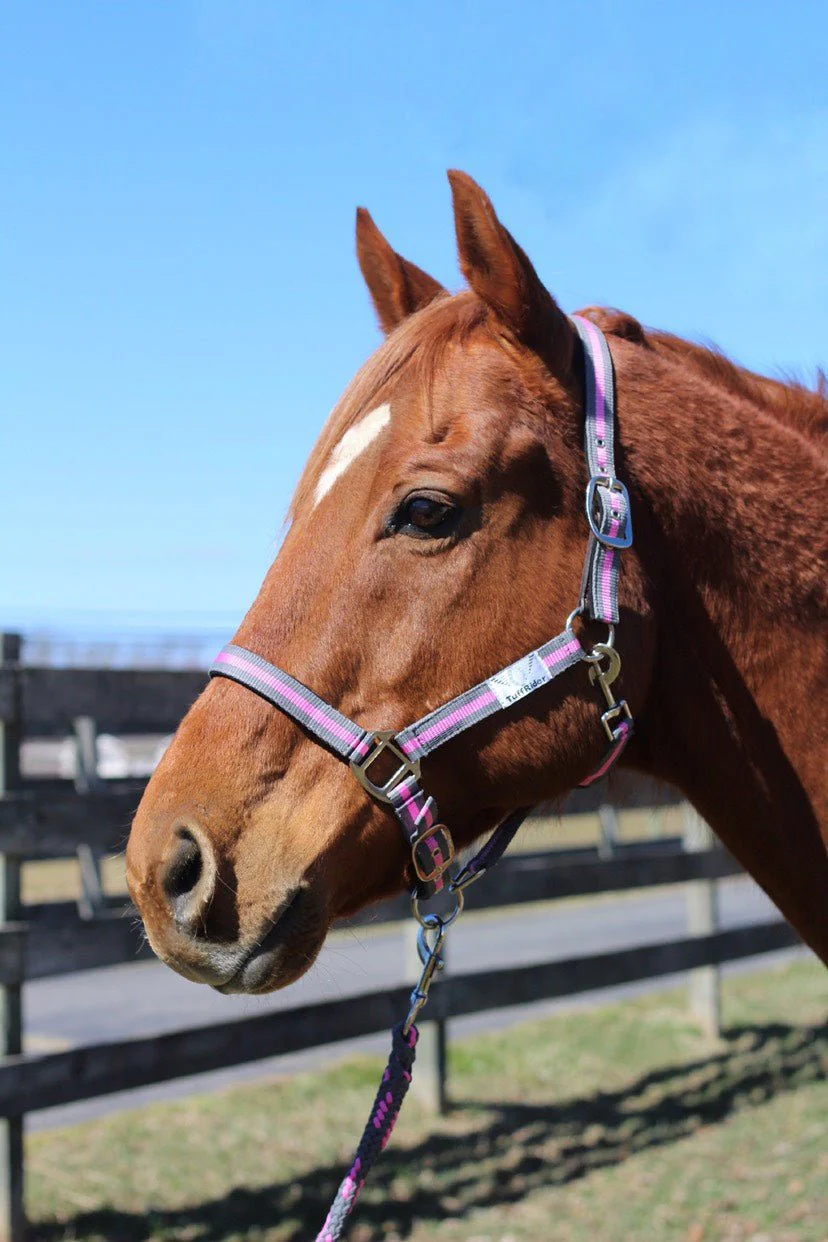 TuffRider Nylon Breakaway Halter & Lead Rope Set - Image 25