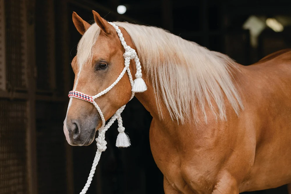 Professionals Choice Cowboy Braided Halter 10' Ld - Image 5