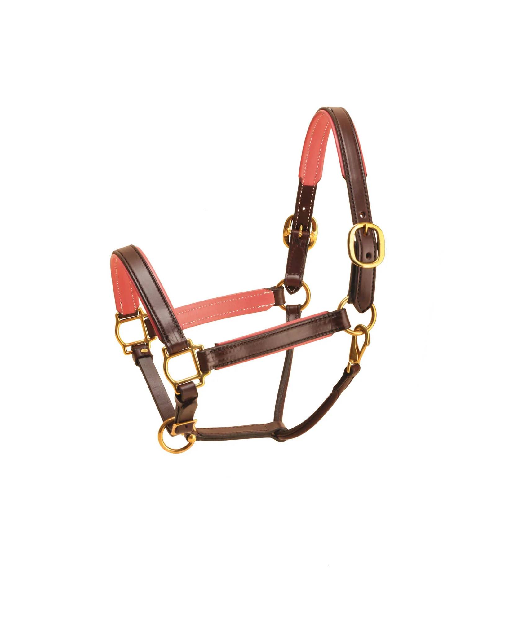 TORY LEATHER 1” WIDE PADDED LEATHER HALTER - Image 2