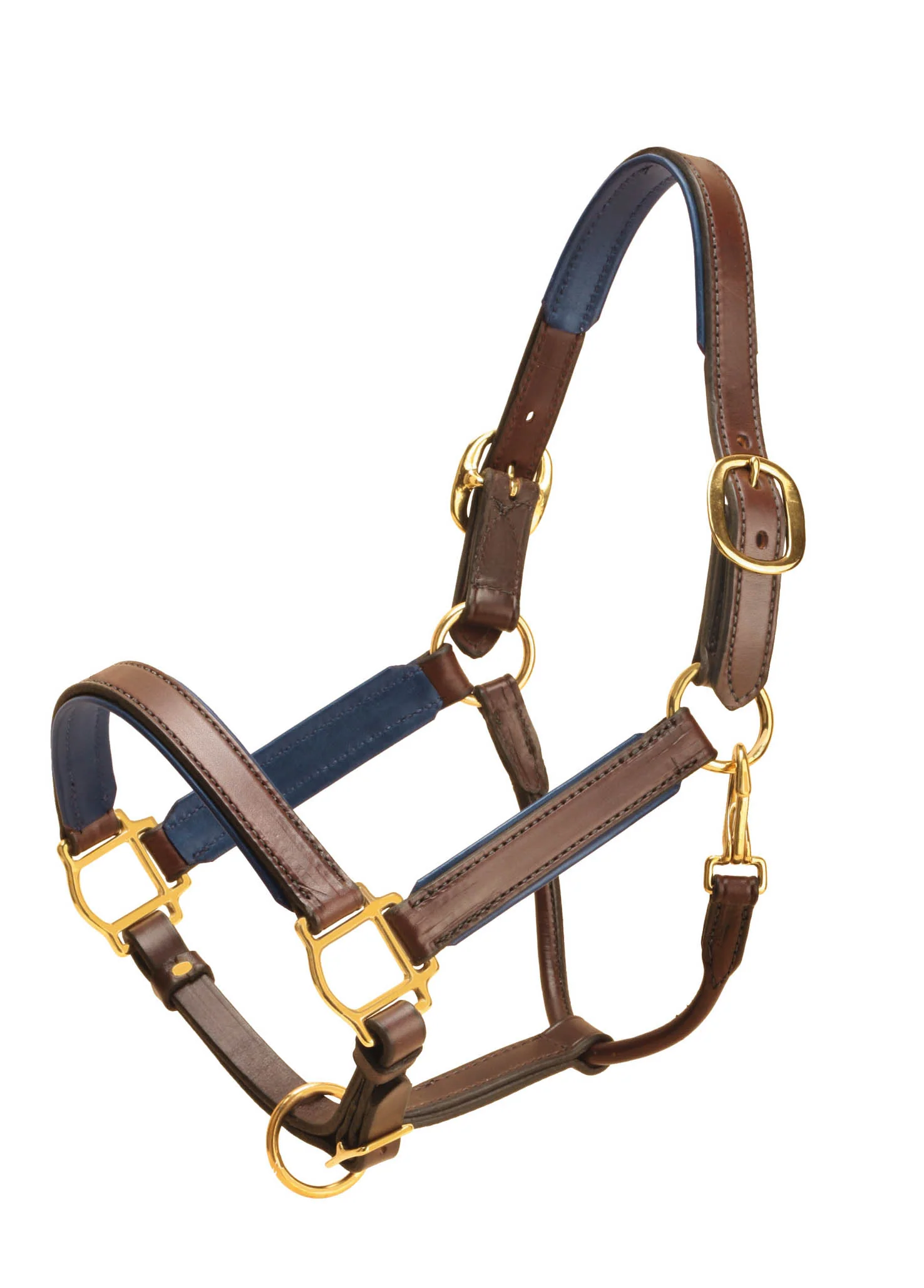 TORY LEATHER 1” WIDE PADDED LEATHER HALTER - Image 3