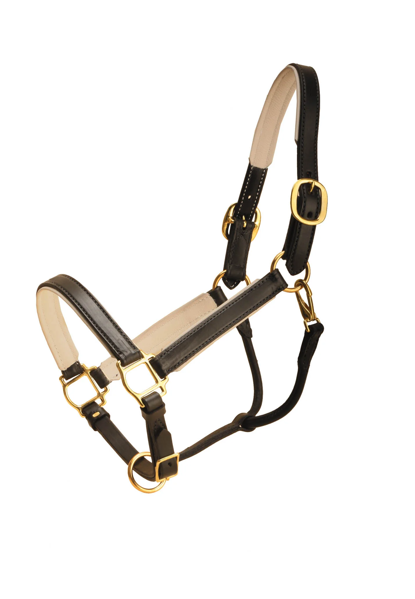 TORY LEATHER 1” WIDE PADDED LEATHER HALTER - Image 4