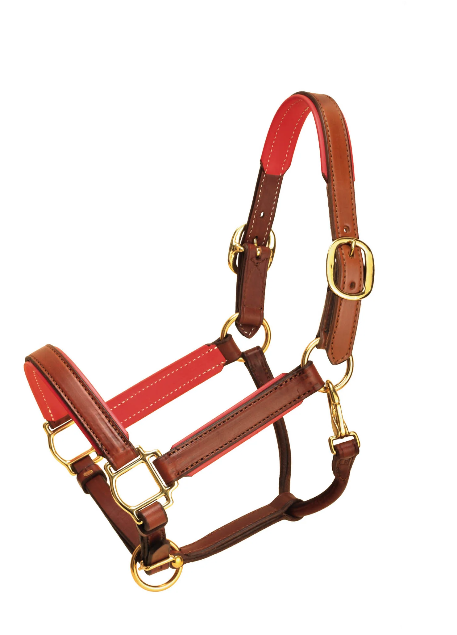 TORY LEATHER 1” WIDE PADDED LEATHER HALTER - Image 6