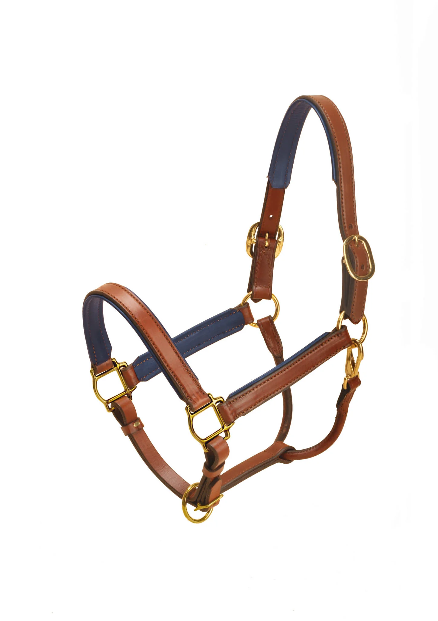 TORY LEATHER 1” WIDE PADDED LEATHER HALTER - Image 7