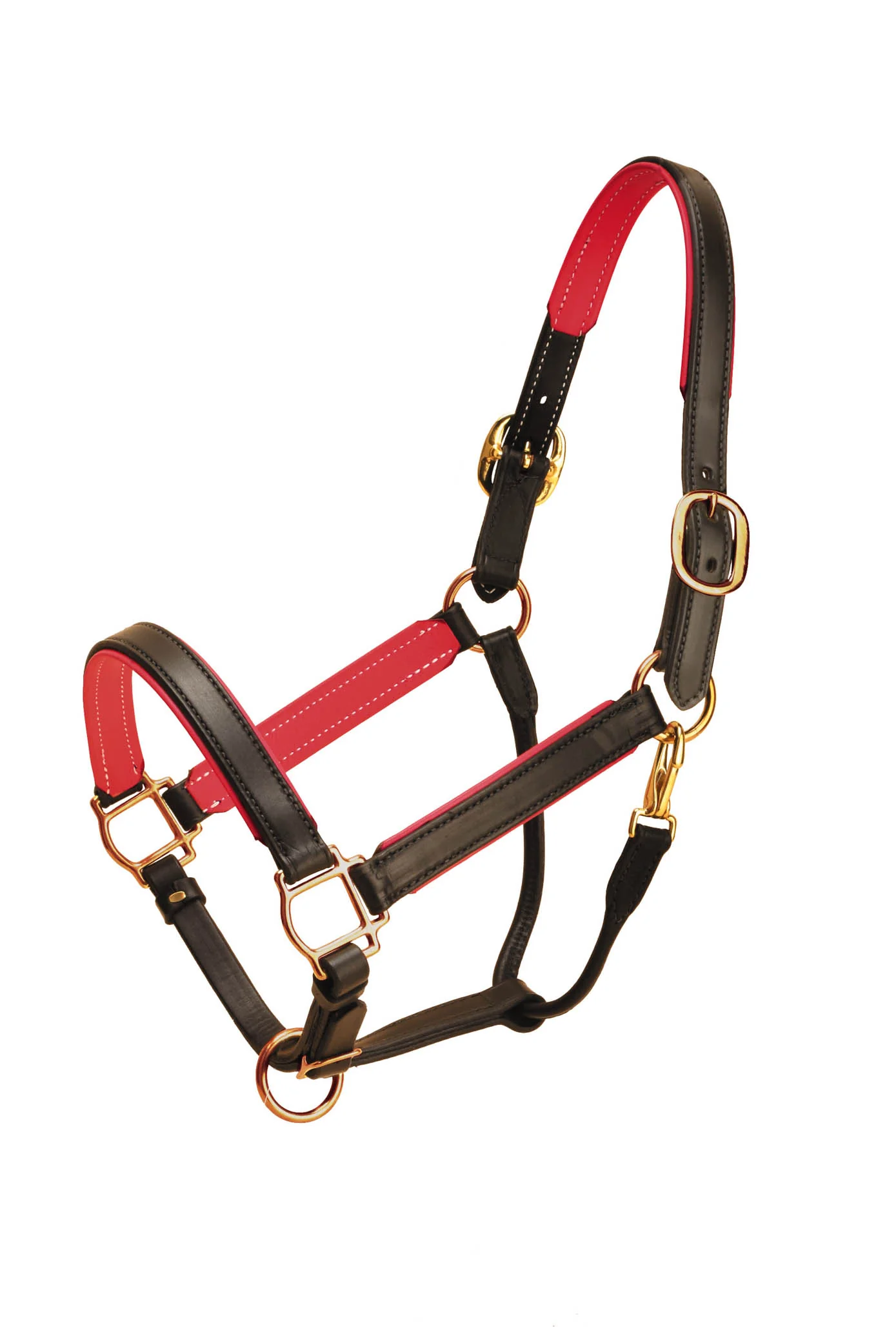 TORY LEATHER 1” WIDE PADDED LEATHER HALTER - Image 8