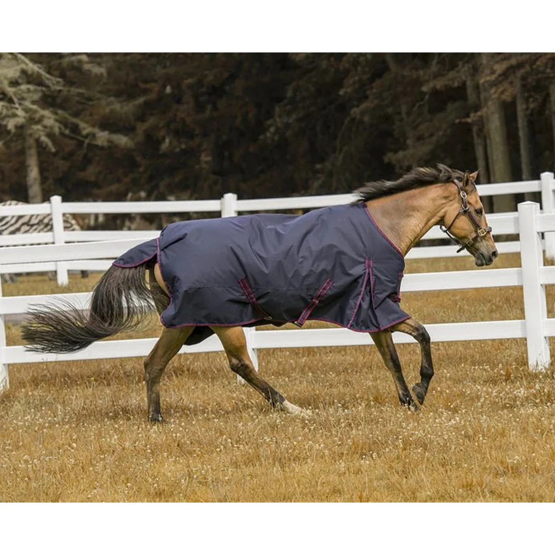 TuffRider 1200 D Comfy Winter Ripstop Turnout Blanket Medium Weight 200 GSM Standard Neck - Image 3
