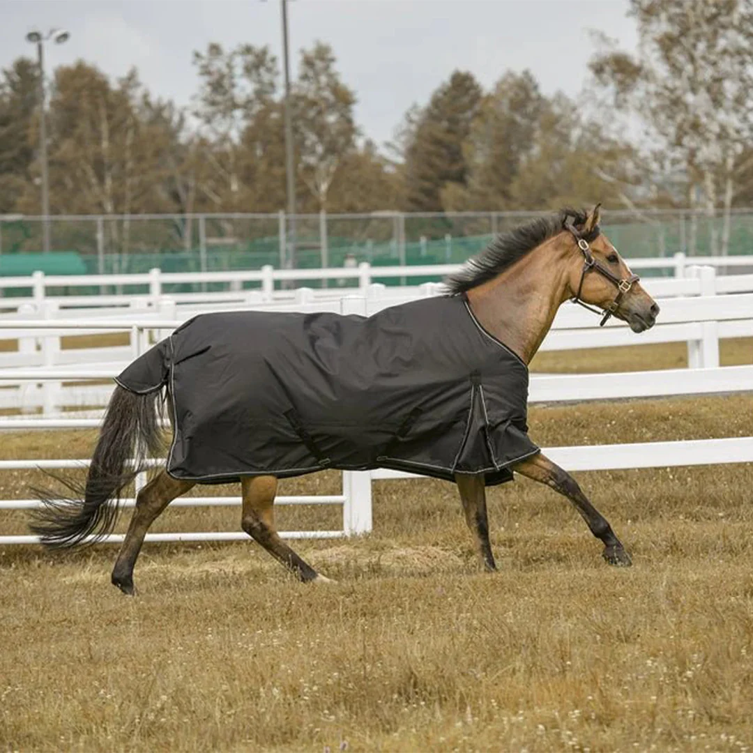 TuffRider 1200 D Comfy Winter Ripstop Turnout Blanket Medium Weight 200 GSM Standard Neck - Image 4