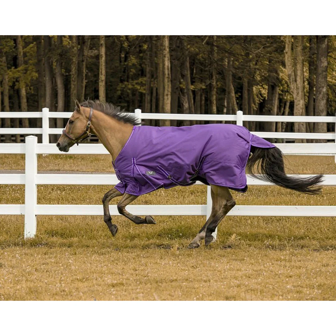 TuffRider 1200 D Comfy Winter Ripstop Turnout Blanket Medium Weight 200 GSM Standard Neck - Image 6