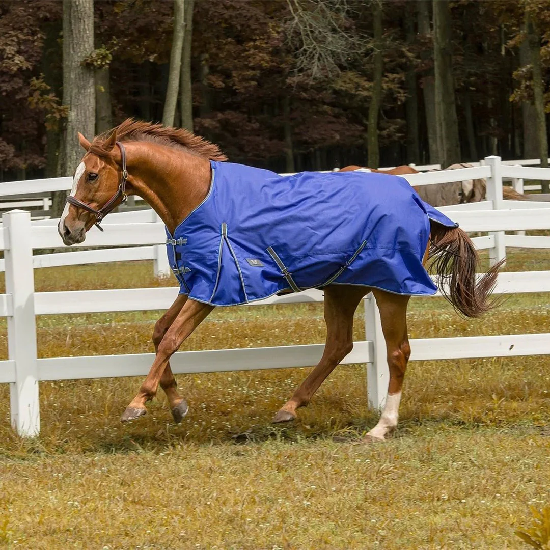 TuffRider 1200 D Comfy Winter Ripstop Turnout Blanket Medium Weight 200 GSM Standard Neck - Image 7