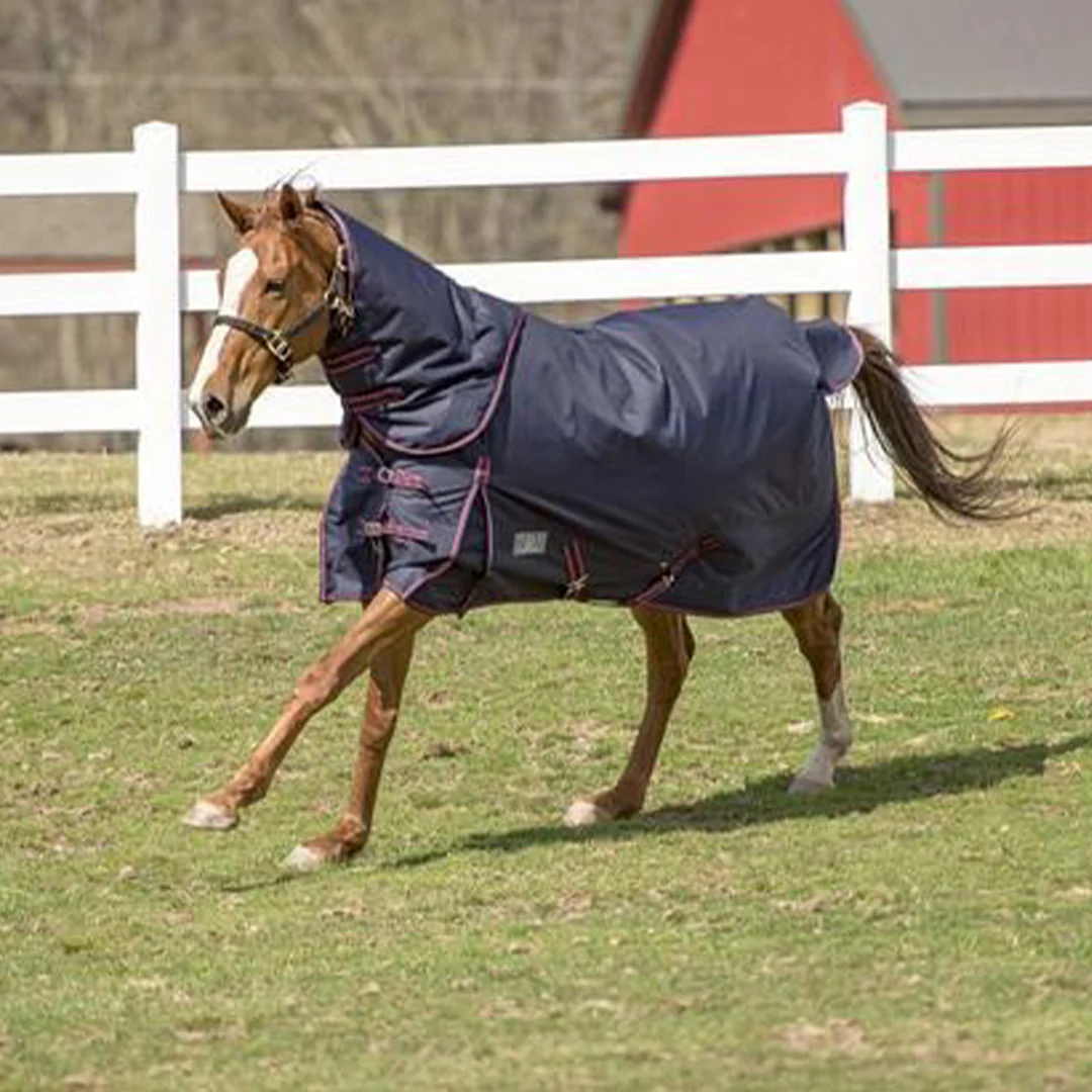TuffRider 1200 D Comfy Winter Medium Weight Ripstop Turnout Blanket w/ Detachable Neck- 200 GSM - Image 3
