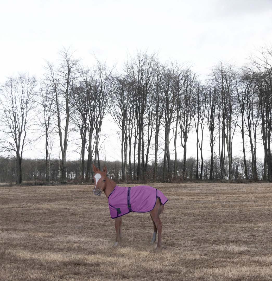 TuffRider 1200D Ripstop Foal Adjustable Turnout Blanket 220GSM Fill - Image 3
