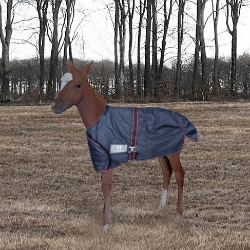 TuffRider 1200D Ripstop Foal Adjustable Turnout Blanket 220GSM Fill - Image 4