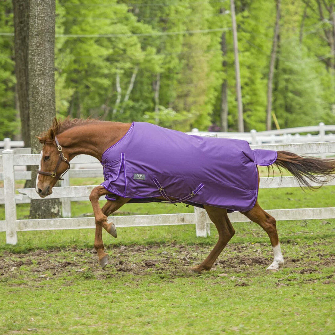 TuffRider 1680 D Super Comfy Winter Ripstop Turnout Blanket Medium Weight 200 GSM Standard Neck - Image 5