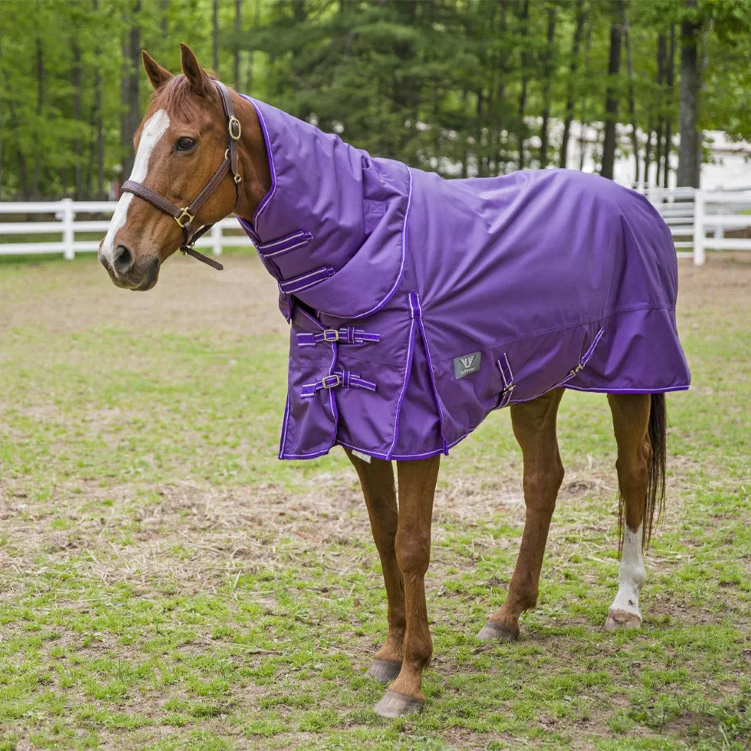 TuffRider 1680 D Super Comfy Winter Ripstop Turnout Blanket Heavy Weight 350 GSM Detachable Neck - Image 4