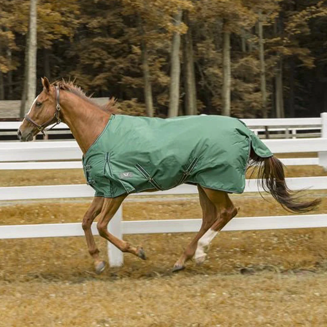 TuffRider 600 D  Comfy Winter Ripstop Turnout Blanket Medium Weight 200 GSM Standard Neck - Image 4