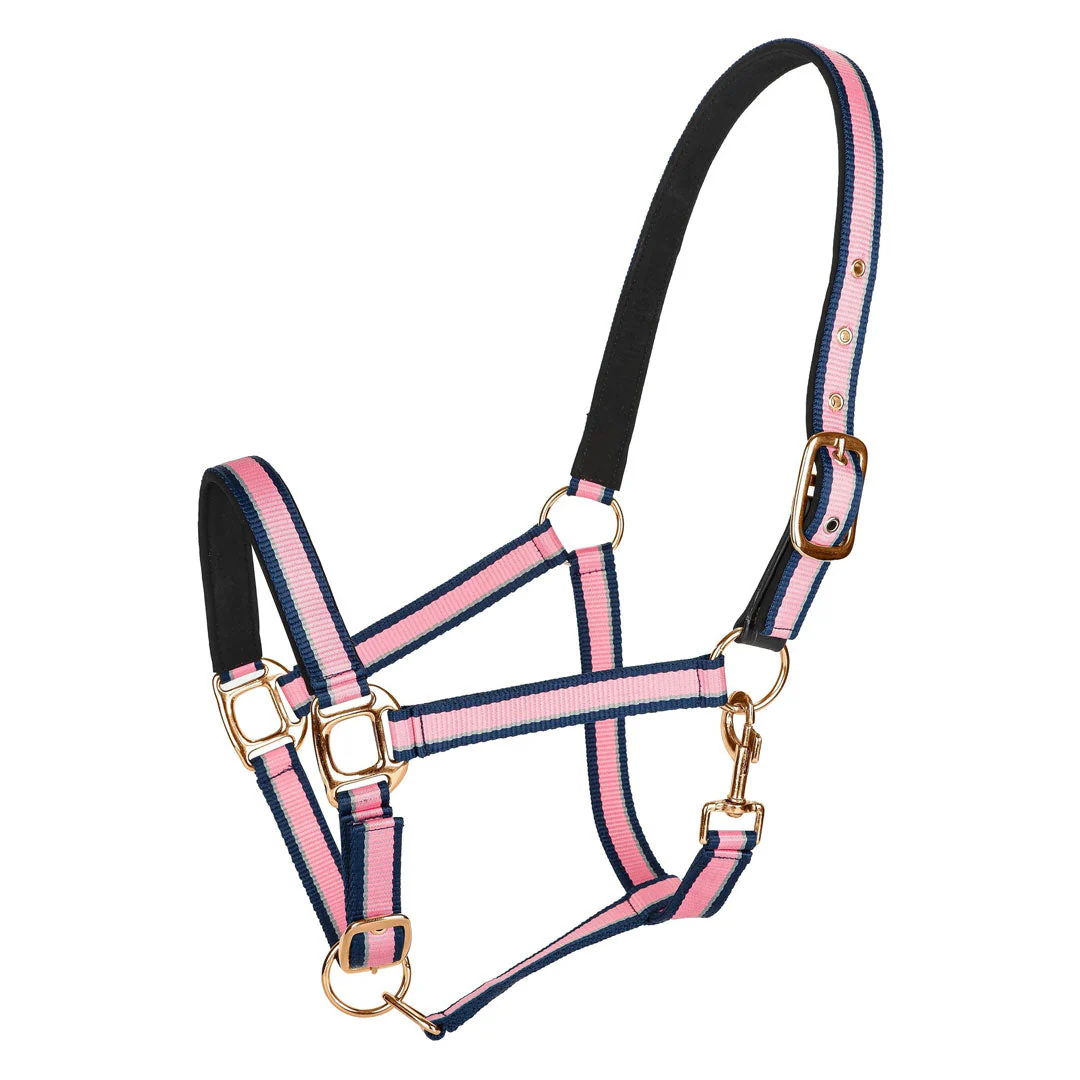 TuffRider Adjustable Nylon Breakaway Halter w/ Padded Crown and Rose Gold Hardware - Image 2