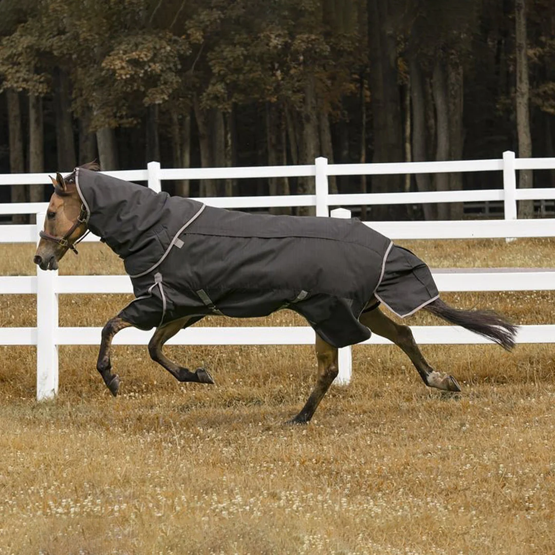 TuffRider All Season Ripstop Turnout Blanket - Image 3