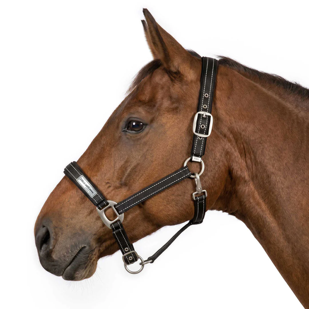 TuffRider SafeReset Breakaway Halter - Image 2