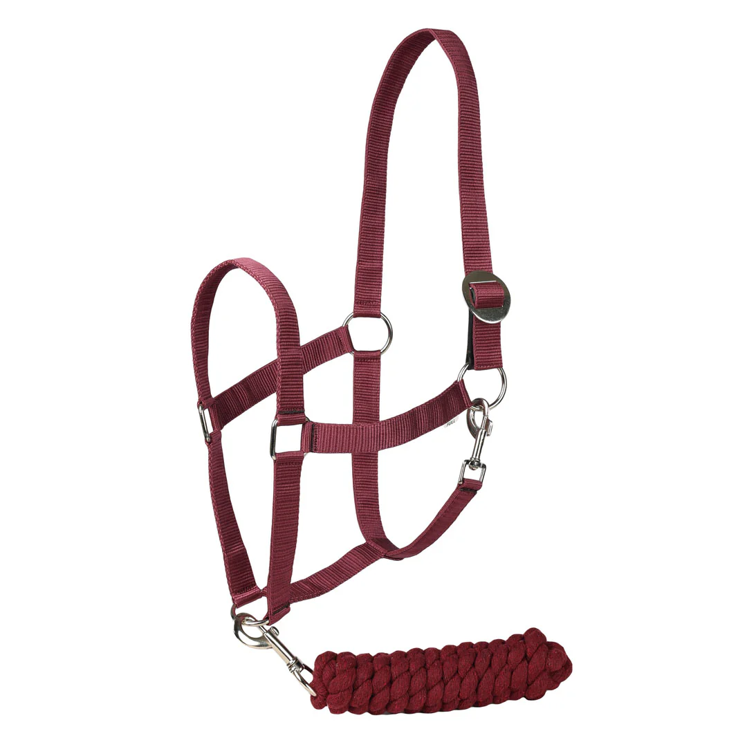 TuffRider Halter And Lead Rope Set With Breakaway Leather - Image 2