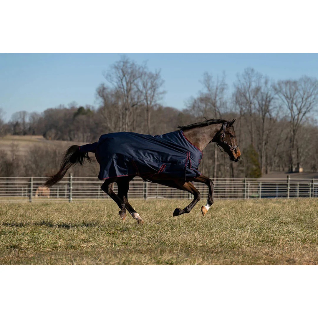 TuffRider 600 D Ripstop Standard Neck Light Weight Turnout Blanket with 100 GSM Fill - Image 10