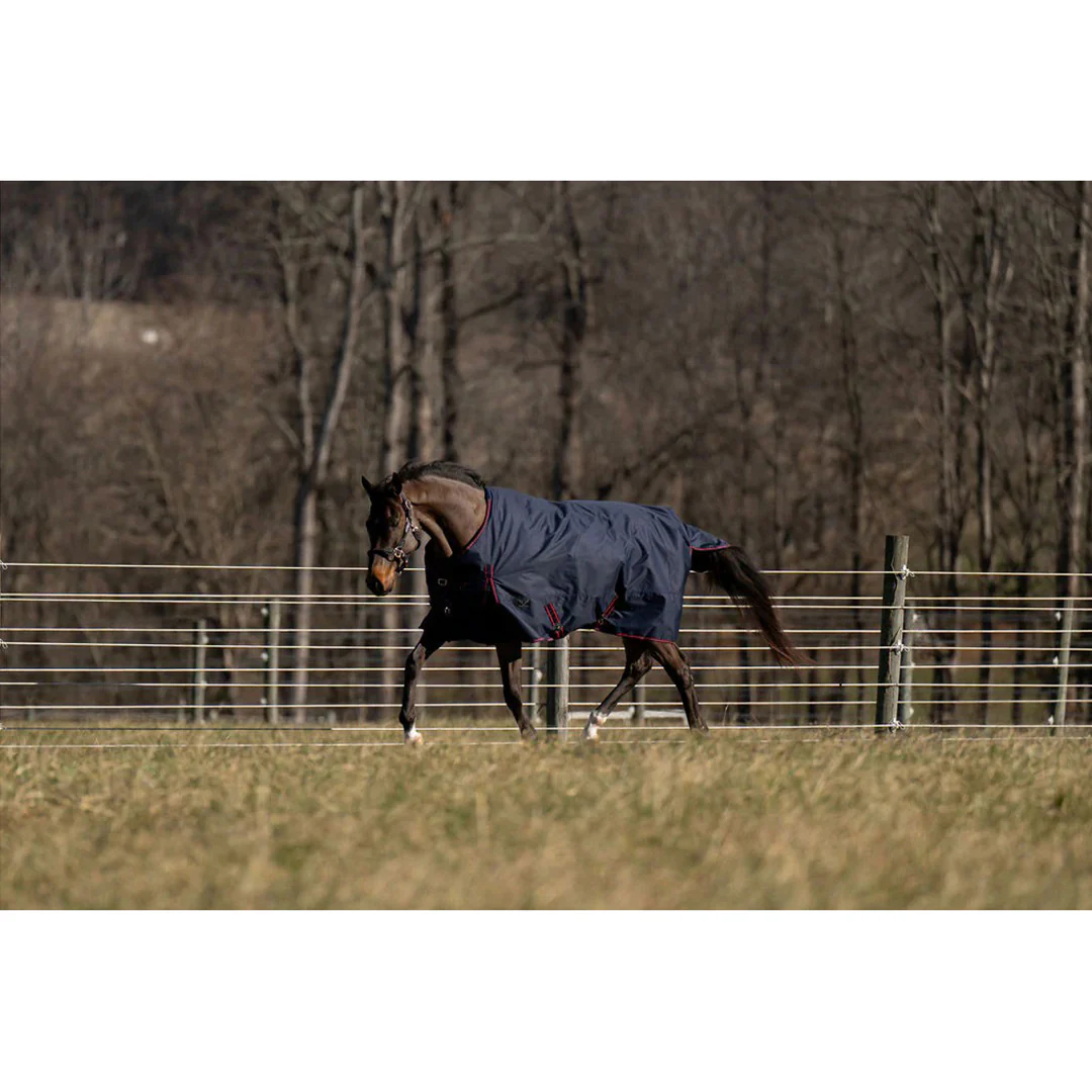 TuffRider 600 D Ripstop Standard Neck Light Weight Turnout Blanket with 100 GSM Fill - Image 9