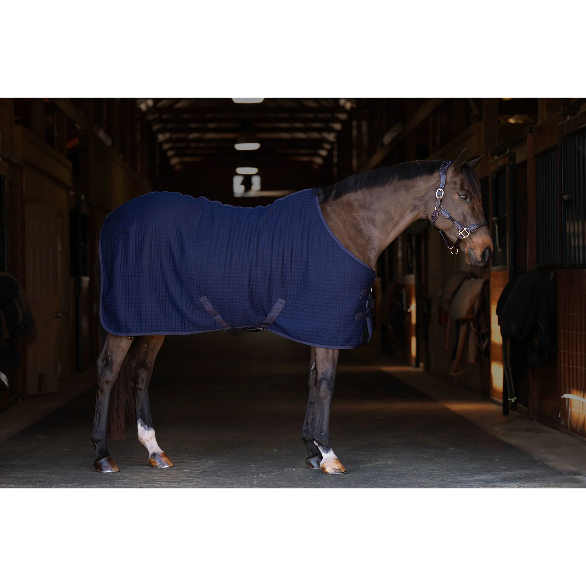 TuffRider ThermoManager Stable Blanket - Image 7